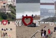 A Woman Was Surprised By What She Saw On Valentine’s Day On A Beach In San Francisco