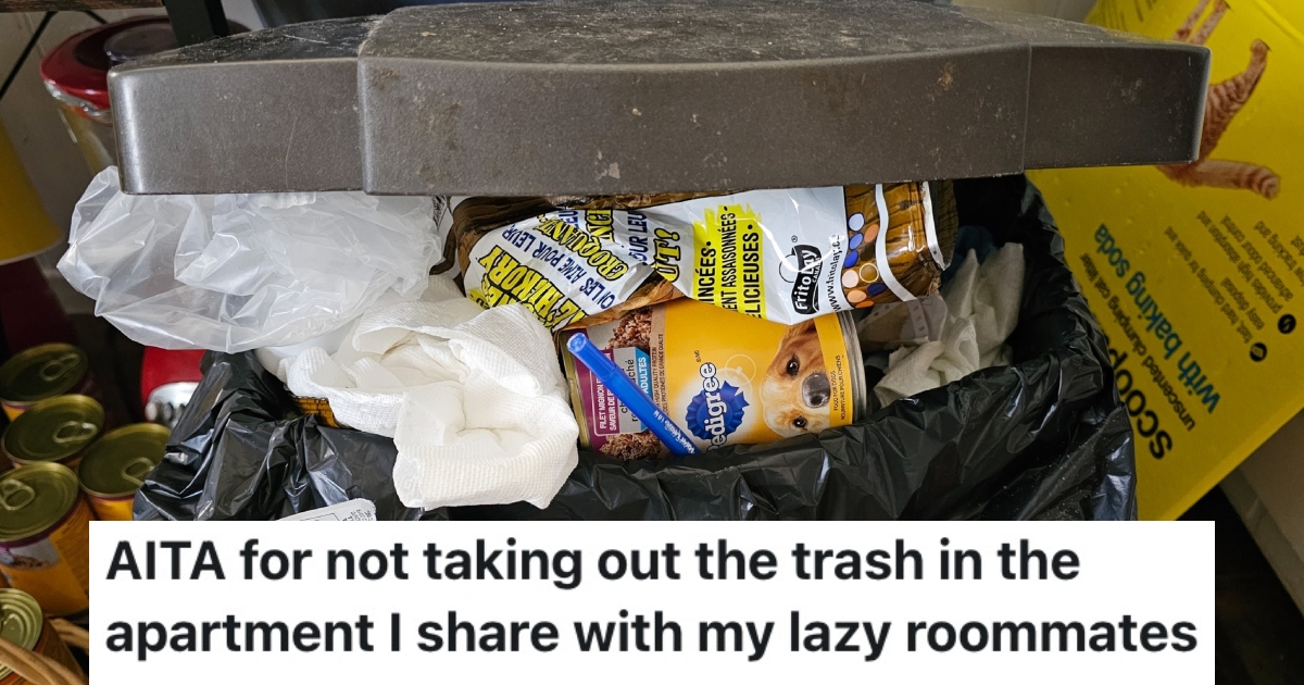 A Renter Got Tired Of Her Roommates Being Dirty, So Now She Only Cleans Up After Herself an overflowing trash can