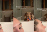 A Playful Dachshund Interrupted Their Owner’s Relaxing Bath