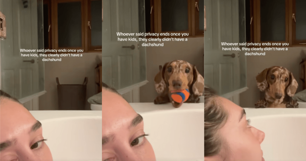dog by a bath