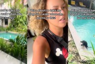 A Routine Dog Walk Turns Into a Rescue After She Finds a Dog Trapped in a Pool