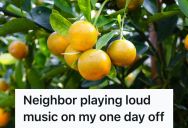 Sleep Deprived Renter Couldn’t Escape Her Neighbor’s Loud Music, So She Launched Oranges At The Fence Until He Finally Surrendered