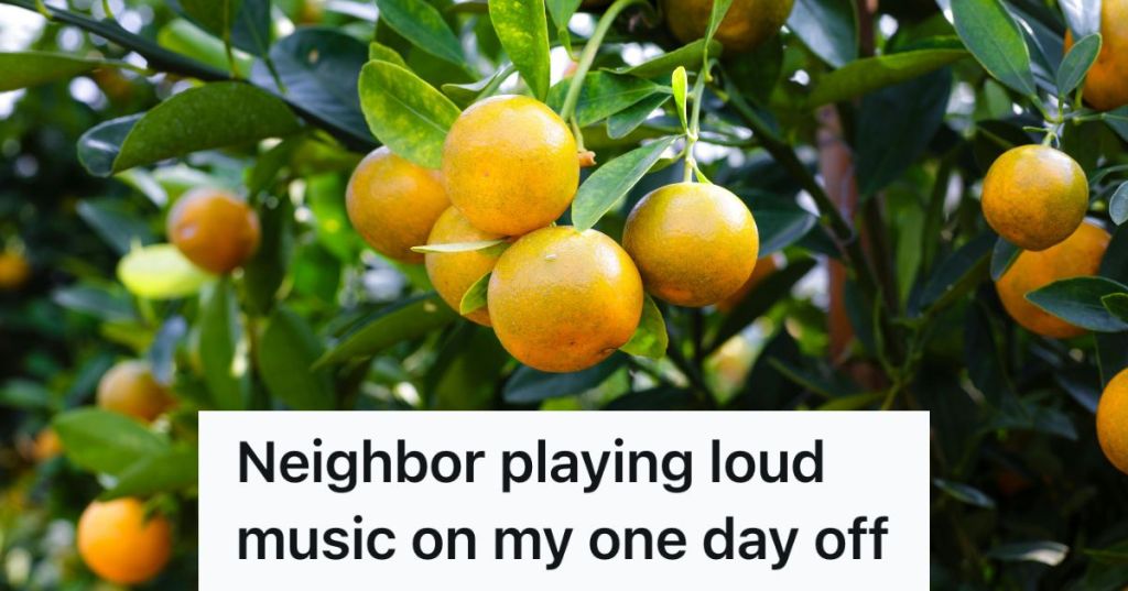 oranges growing on tree