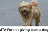 He Realized He Was A Better Pet Owner Than His Friend, So He’s Taking His Dog For Himself