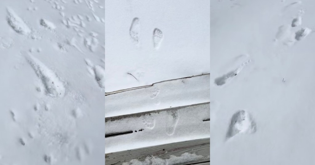 footprints in the snow