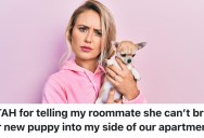 A Woman’s Roommate Wants Her To Spend Time With Her Puppy When She’s Not There, But She Refused Because She’s Allergic To Dogs