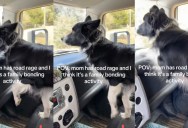A Dog Picked Up On His Owner’s Road Rage So He Got In On The Action