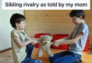 Little Girl Spent The Day Being Bullied And Excluded By Her Older Sibling, So She Retaliated When He Least Expected It