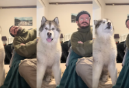 A Dog Sang Along When He Heard Opera Music