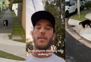 The Ultimate Sidewalk Standoff: Stubborn Dog Hilariously Shuts Down After Deciding His Afternoon Walk Is Officially Over