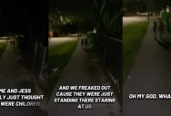 A Night Walk Turned Disturbing After One Woman Thought She Was Being Watched