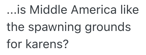 2026 04 16 at 1.03.39 PM Neighbor Calls The Police Because Family Doesnt Have A Tall Enough Fence Around Their Swimming Pool, So The Family Builds An Unusual Barrier