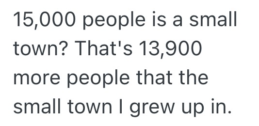 2026 04 16 at 1.03.48 PM Neighbor Calls The Police Because Family Doesnt Have A Tall Enough Fence Around Their Swimming Pool, So The Family Builds An Unusual Barrier