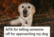 Man Is Training His Puppy At The Park And Asks A Parent To Keep Her Kids From Touching The Dog, But When They Ignore Him, He Tells Them Off