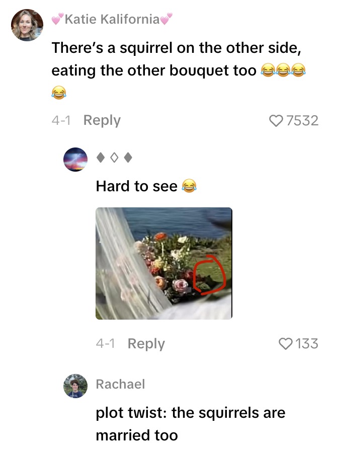 Screenshot 2026 04 26 at 4.17.51 PM An Outdoor Wedding Took an Unexpected Turn Thanks to One Very Bold Squirrel