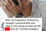 Employee Gave Notice Thinking He’d Leave On Good Terms, But His Manager Took It Personally And Turned His Last Two Weeks Into A Nightmare