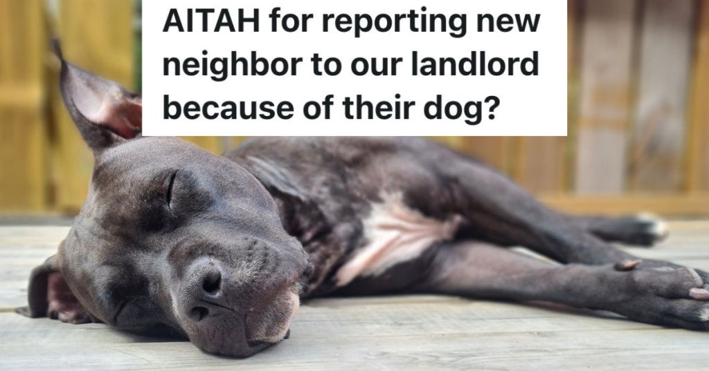 pitbull dog sleeping outside on wooden deck