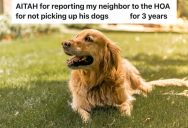 Man Is Upset That His Neighbor’s Dog Uses His Yard As A Restroom, So He Reports The Neighbor To The HOA, Resulting In The Neighbor Badmouthing Him On Facebook