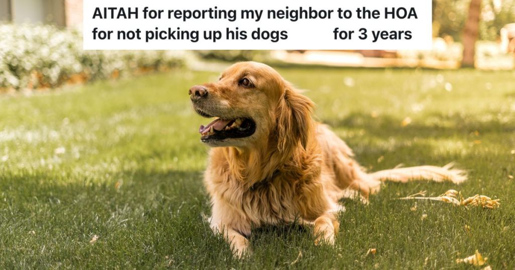 golden retriever dog laying down in front yard