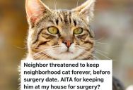 Neighborhood Cat Likes Living Outside And Roaming Freely Between Houses, But A New Neighbor Claims The Cat Is His Now