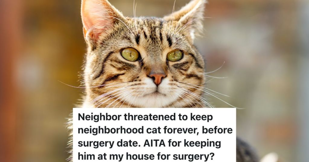 closeup of a cat's face