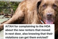 Renters Don’t Pick Up After Their Dog, So The Next Door Neighbors Complain To The HOA