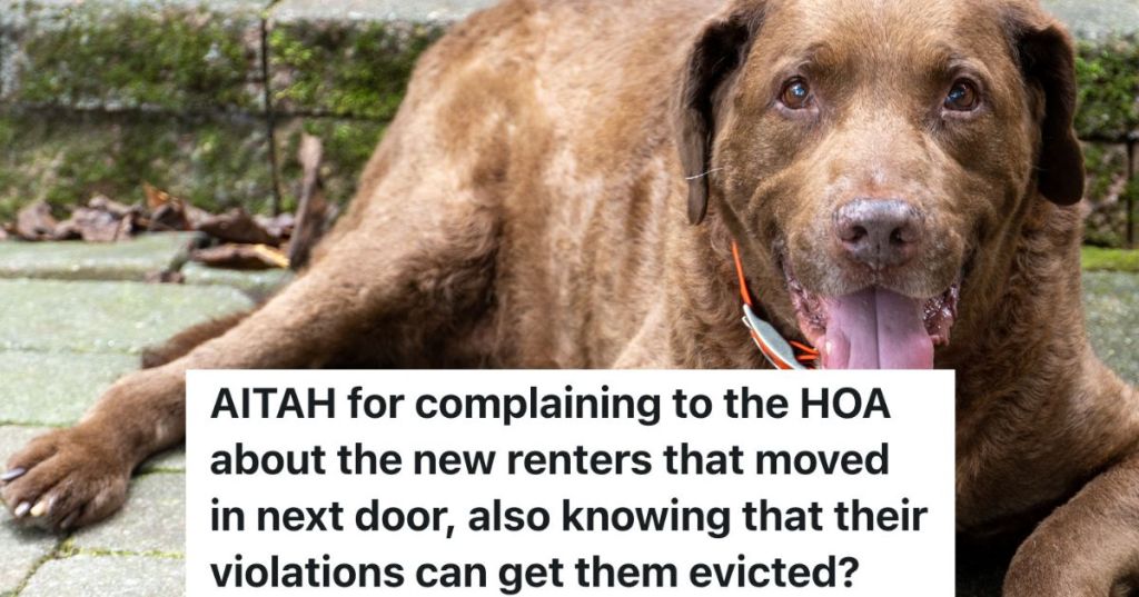 dog outside on patio