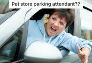 Woman Was Walking Towards A Pet Store, But Another Woman Rolled Down Her Car Window And Started Yelling At Her