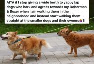 Dog Owner Keeps Their Large Dogs Far From Small Dogs When Going On Walks, But The Small Dogs Are The Ones Making A Fuss