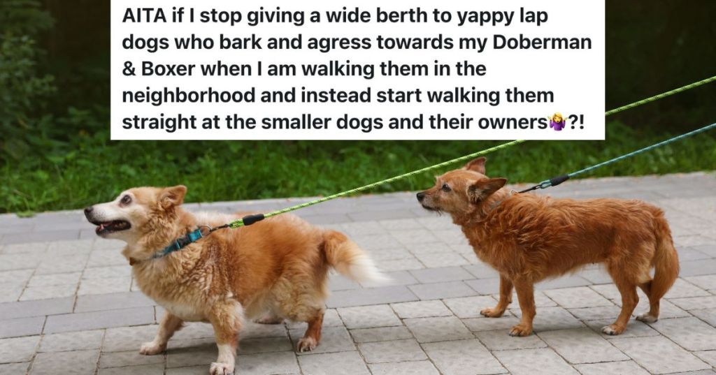 two small dogs on leashes