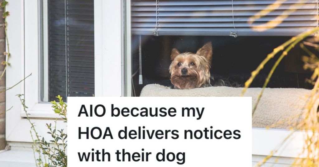 little dog looking out window