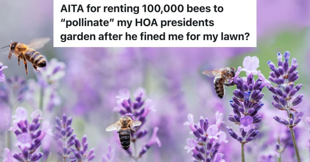 bees near lavender flowers