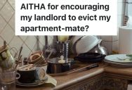 Woman’s Roommate Is Weird, Gross And Never Cleans, But She’s Not Sure If It’s A Good Idea For The Landlord To Evict Her