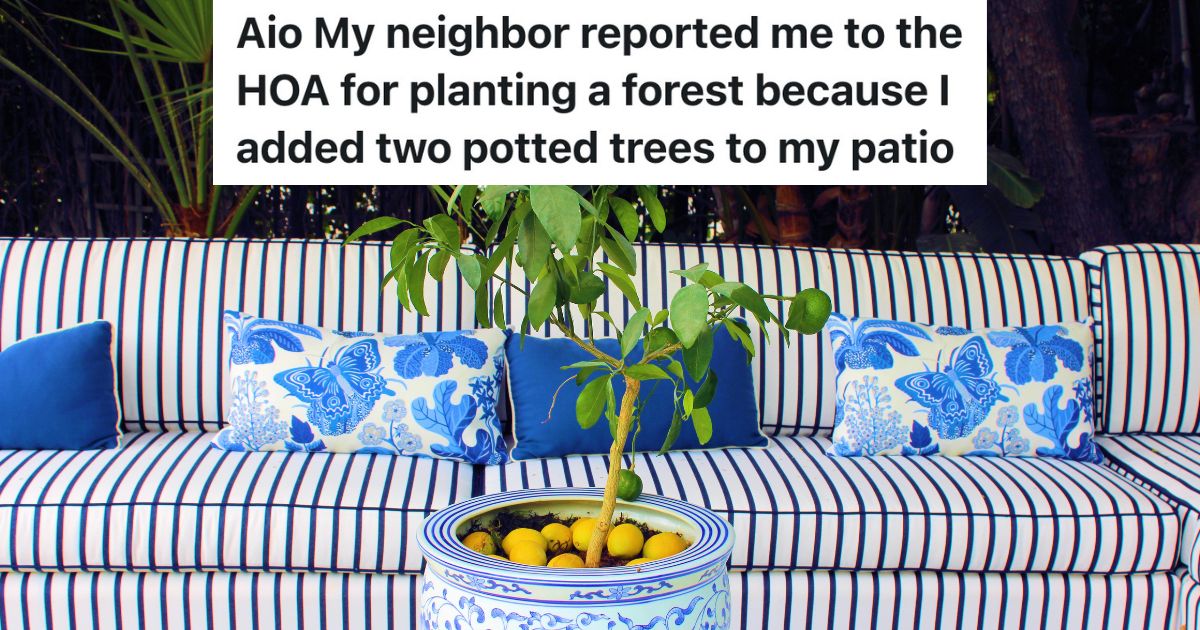 Homeowner Put Two Potted Lemon Trees On Her Patio, But The HOA Gave Her A Note Telling Her To Remove Them small potted lemon tree on patio