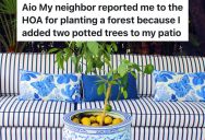 Homeowner Put Two Potted Lemon Trees On Her Patio, But The HOA Gave Her A Note Telling Her To Remove Them