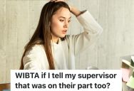 Employee Accidentally Posts An Image With Critical Client Information In Email Marketing Software, But She Thinks Her Supervisor Is Partially To Blame For The Mistake