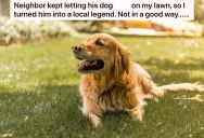 A Neighbor’s Dog Kept Making A Mess In His Yard, So He Took The Problem To The Whole Neighborhood