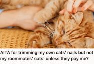 Woman Trims Her Young Cats’ Nails With Ease So Her Roommate Insisted She Also Do It For Her Cats, But She Charged Her Roommate A Small Trimming Fee Instead