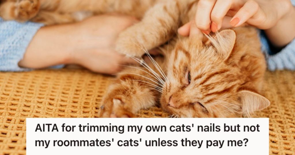 Person petting a sleepy cat