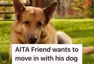 Man Offered His Friend A Room In His House For Cheap Rent, But He Refused To Allow His Friend’s Dog, Too