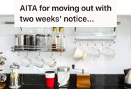 Woman Planned To Move Out And Gave Roommates Two Weeks Notice, But They Got Upset That She Will Take Her Kitchen Stuff And Leave Them With Nothing
