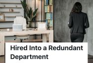 In-House Accountant Told She’s Getting Laid Off, But Then She’s Told She’s Just Being Moved To A Different Department, So She Walks Out