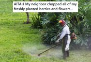 Her Neighbor Weed Whacked Her Flowers And Berry Bushes Down Without Asking, So She Yelled At Him To Stop, And Now He Is Acting Like She Was Rude