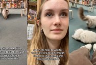 A Shopper Spotted Two Mysterious ‘Employees’ at a Local Bookstore—and They Have Four Paws and Whiskers