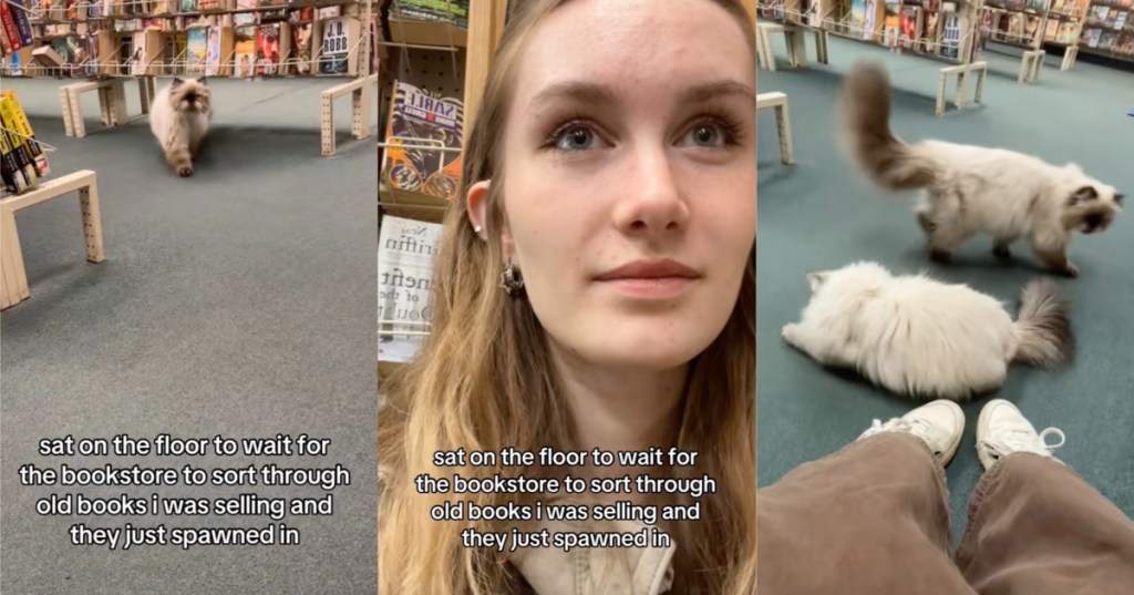 woman in a bookstore