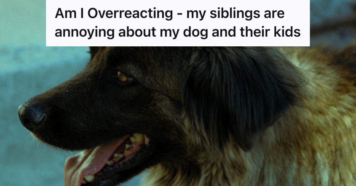 closeup of dog panting