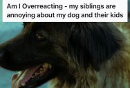 Dog Owner Watched His Siblings Teach Their Kids To Fear His Gentle Poodle At Every Visit, So Now He Has To Walk On Eggshells At Every Family Gathering