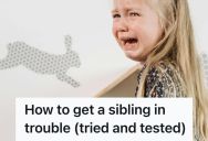 Kid’s Older Sibling Thought She Would Get Away With Bullying Her While Home Alone, So Kid Made Sure The Evidence Was Still There When Their Parents Walked Through The Door
