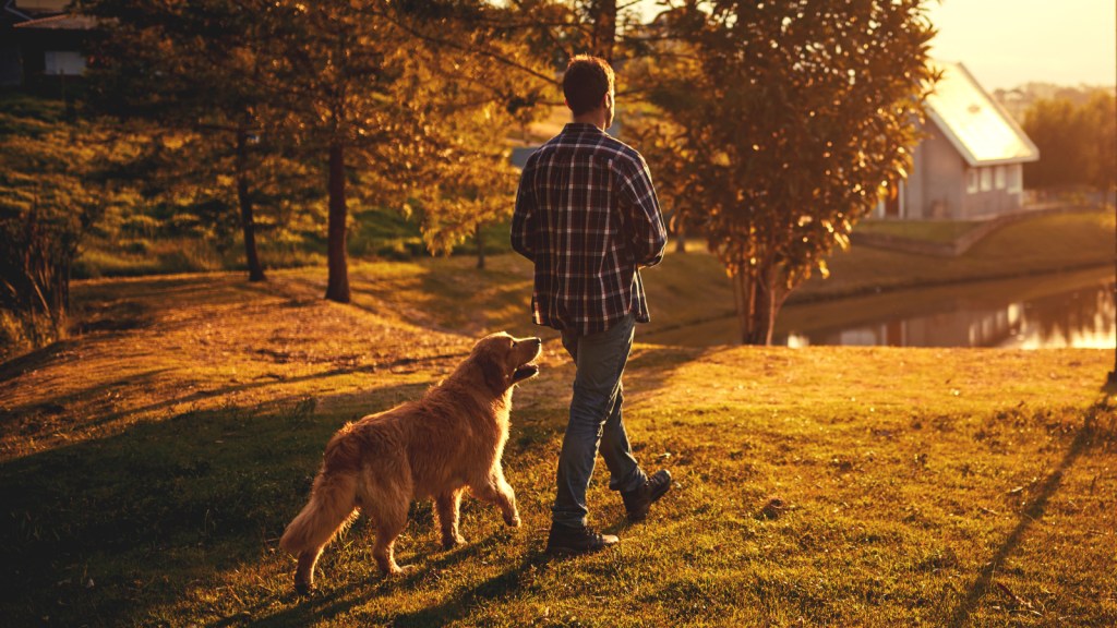A man walking through grass with his dog