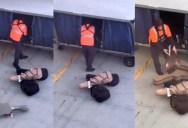 A Viral Airport Moment Shows How Some Fragile Items Are Handled Behind the Scenes